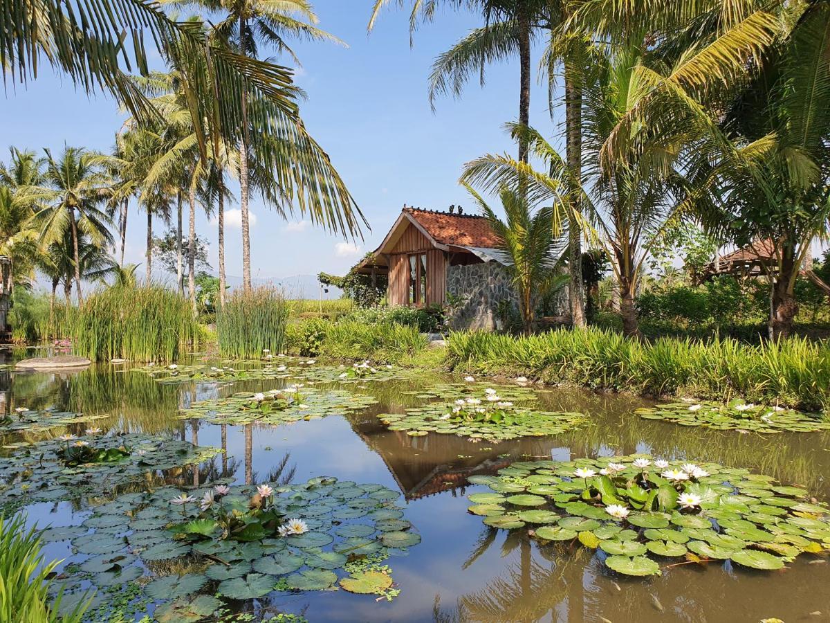 Borobudur Bed & Breakfast Magelang Zewnętrze zdjęcie