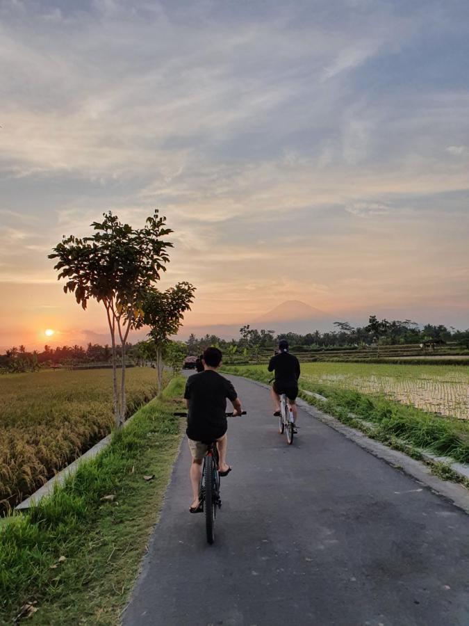 Borobudur Bed & Breakfast Magelang Zewnętrze zdjęcie