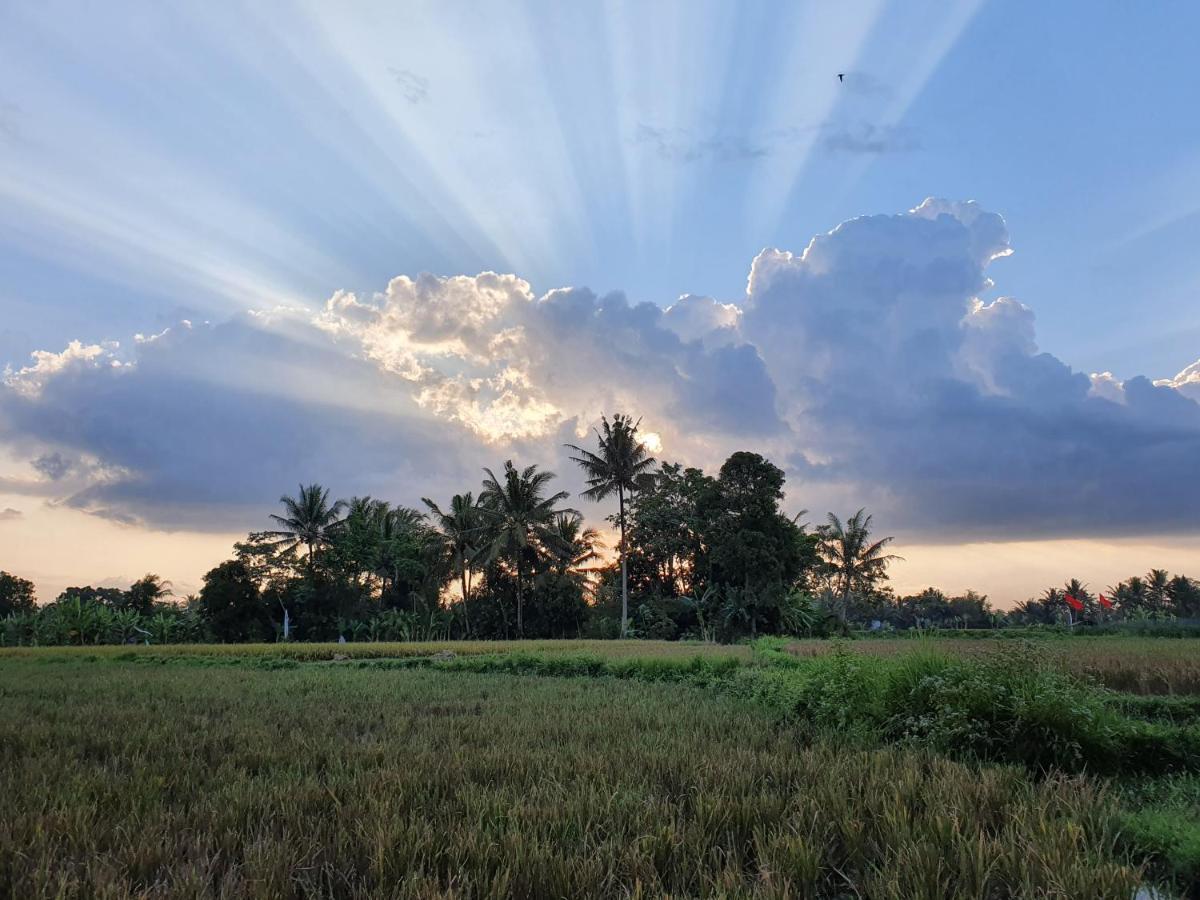 Borobudur Bed & Breakfast Magelang Zewnętrze zdjęcie