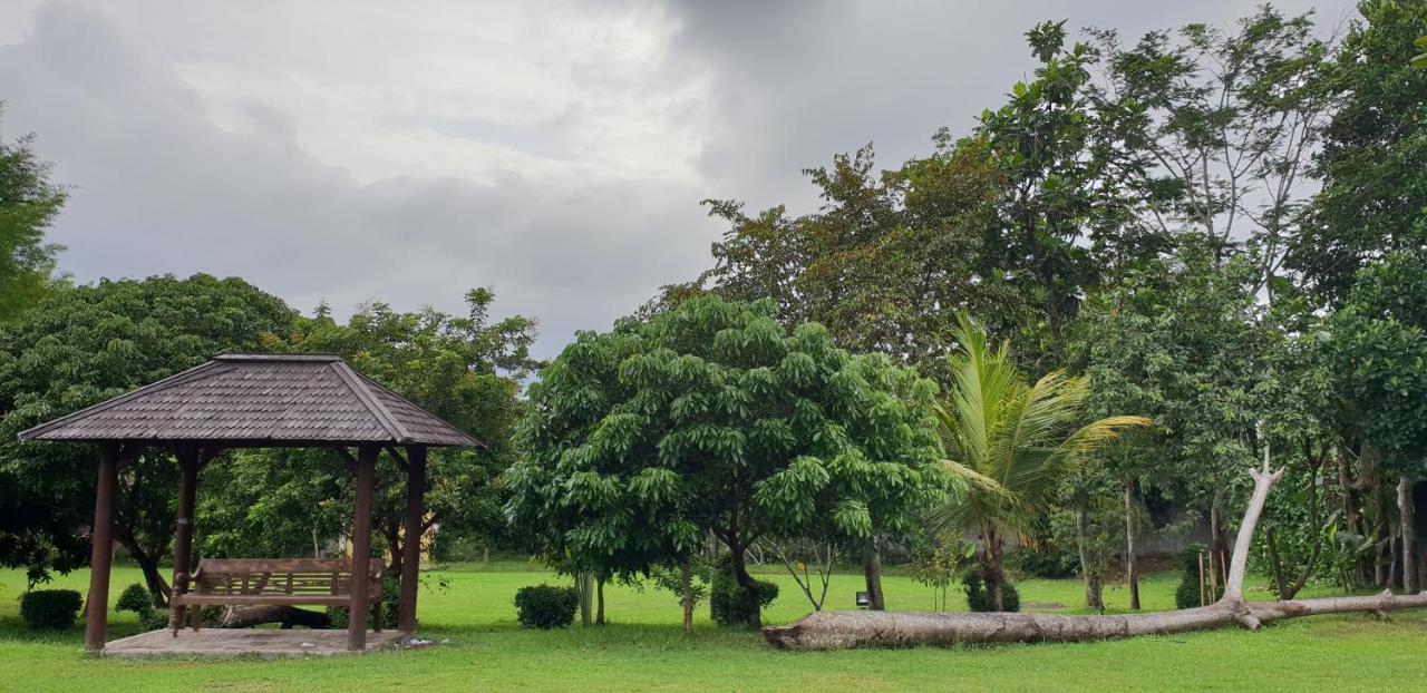 Borobudur Bed & Breakfast Magelang Zewnętrze zdjęcie