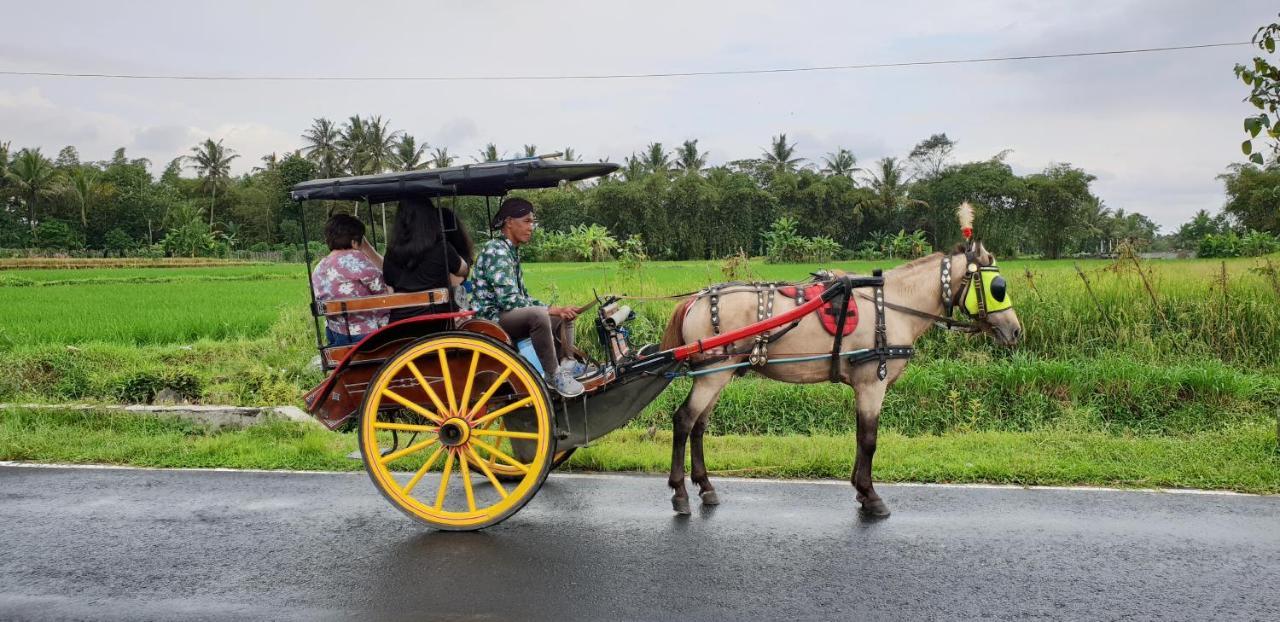 Borobudur Bed & Breakfast Magelang Zewnętrze zdjęcie